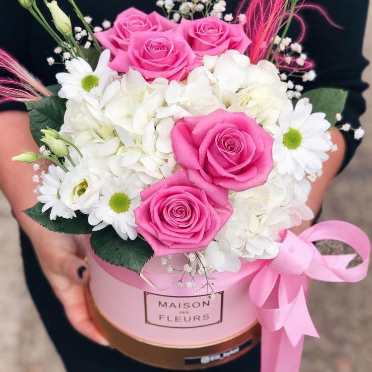 Эйфория от 10 600 руб.